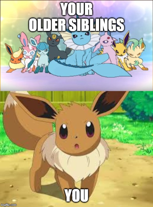 YOUR OLDER SIBLINGS; YOU | image tagged in eevee,pokemon sun moon eevee squad | made w/ Imgflip meme maker