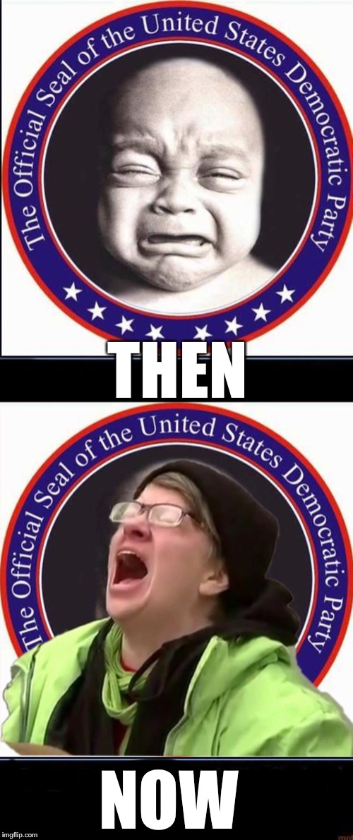 The Official Seal of the United States Democratic Party... | THEN; NOW | image tagged in official seal of the united states democratic party,crying,screaming at sky,ConservativeMemes | made w/ Imgflip meme maker