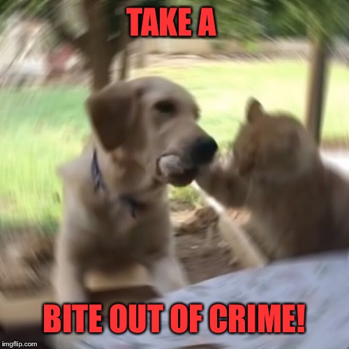 TAKE A BITE OUT OF CRIME! | made w/ Imgflip meme maker
