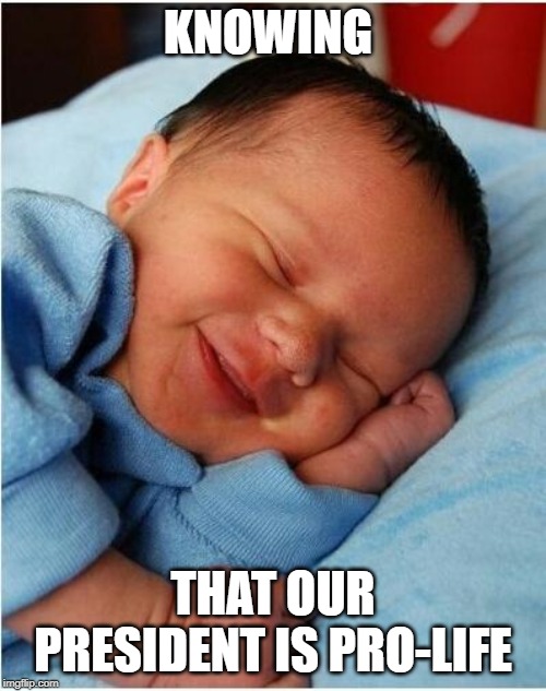 baby sleeping 2 |  KNOWING; THAT OUR PRESIDENT IS PRO-LIFE | image tagged in baby sleeping 2 | made w/ Imgflip meme maker