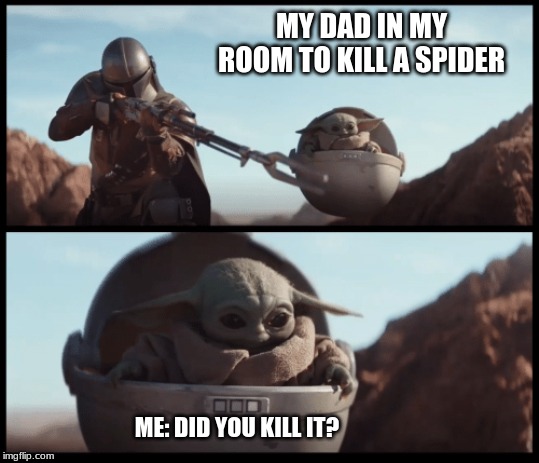 Baby Yoda | MY DAD IN MY ROOM TO KILL A SPIDER; ME: DID YOU KILL IT? | image tagged in baby yoda | made w/ Imgflip meme maker