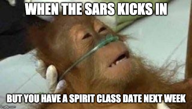 Sick Orangutan | WHEN THE SARS KICKS IN; BUT YOU HAVE A SPIRIT CLASS DATE NEXT WEEK | image tagged in sick orangutan | made w/ Imgflip meme maker