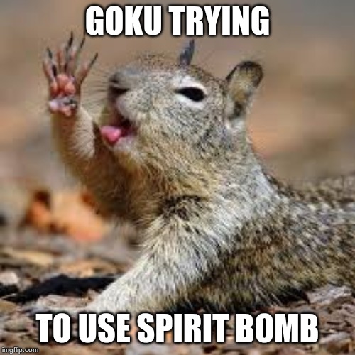 Goku trash | GOKU TRYING; TO USE SPIRIT BOMB | image tagged in spirit bomb,goku,goku spirit bomb,anime,squirrel | made w/ Imgflip meme maker