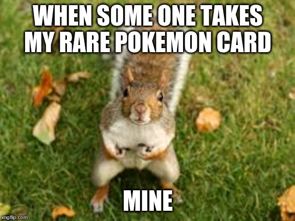 mine | WHEN SOME ONE TAKES MY RARE POKEMON CARD; MINE | image tagged in pokemon,squirrel | made w/ Imgflip meme maker