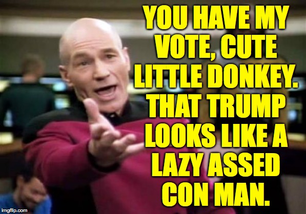 Picard Wtf Meme | YOU HAVE MY
VOTE, CUTE
LITTLE DONKEY.
THAT TRUMP
LOOKS LIKE A
LAZY ASSED
CON MAN. | image tagged in memes,picard wtf | made w/ Imgflip meme maker