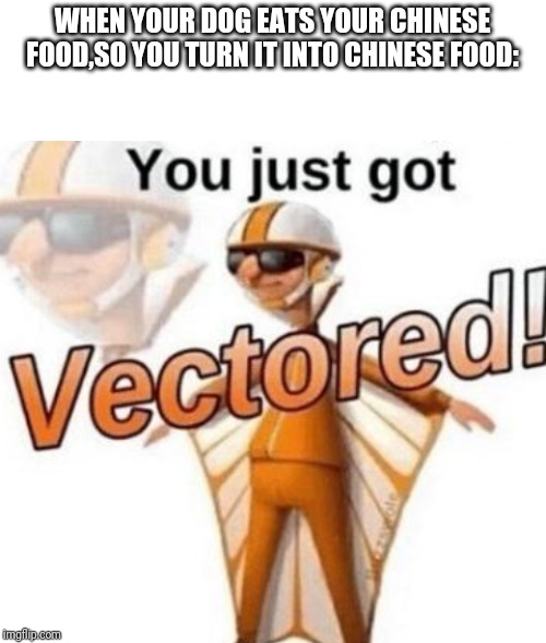 WHEN YOUR DOG EATS YOUR CHINESE FOOD,SO YOU TURN IT INTO CHINESE FOOD: | image tagged in blank white template,you just got vectored | made w/ Imgflip meme maker