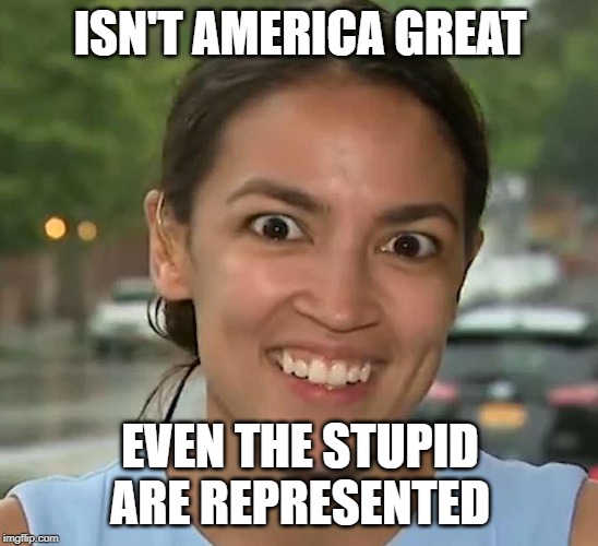 Latinofascist AOC | ISN'T AMERICA GREAT; EVEN THE STUPID ARE REPRESENTED | image tagged in latinofascist aoc | made w/ Imgflip meme maker