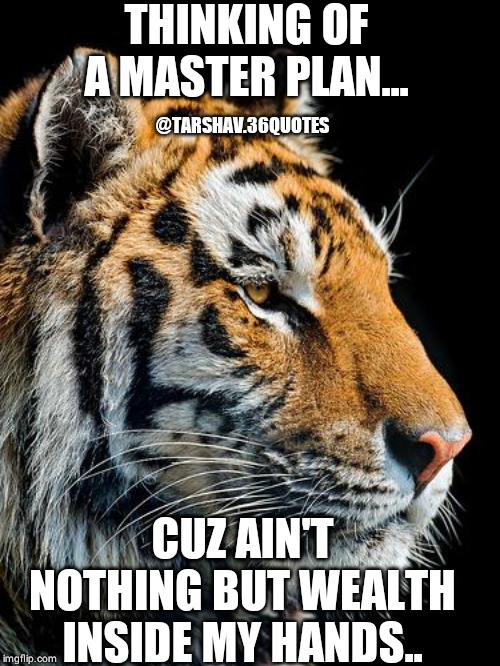 Silent Tiger | THINKING OF A MASTER PLAN... @TARSHAV.36QUOTES; CUZ AIN'T NOTHING BUT WEALTH INSIDE MY HANDS.. | image tagged in silent tiger | made w/ Imgflip meme maker