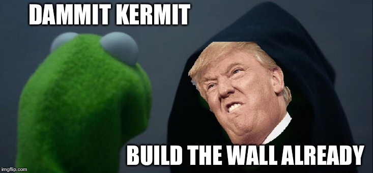 Evil Kermit | DAMMIT KERMIT; BUILD THE WALL ALREADY | image tagged in memes,evil kermit | made w/ Imgflip meme maker