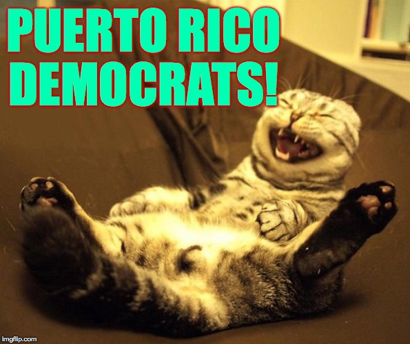 laughing cat | PUERTO RICO DEMOCRATS! | image tagged in laughing cat | made w/ Imgflip meme maker