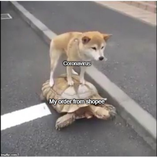 doge turtle | Coronavirus; My order from shopee | image tagged in doge turtle | made w/ Imgflip meme maker