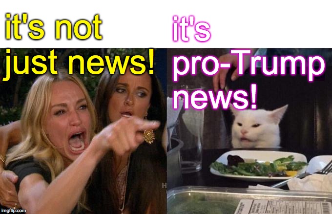 Woman Yelling At Cat Meme | it's not just news! it's
pro-Trump
news! | image tagged in memes,woman yelling at cat | made w/ Imgflip meme maker