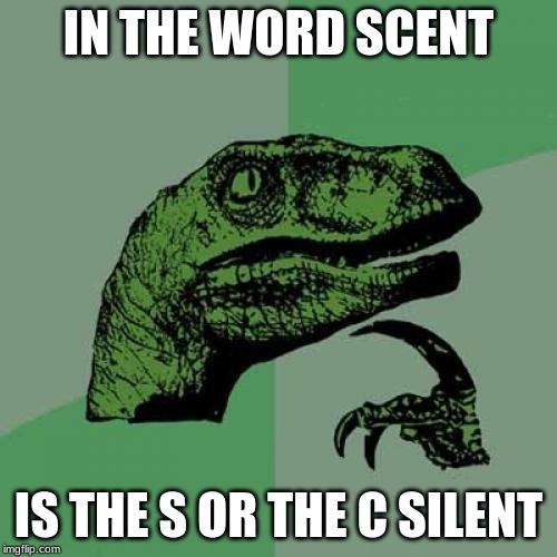 Philosoraptor | IN THE WORD SCENT; IS THE S OR THE C SILENT | image tagged in memes,philosoraptor | made w/ Imgflip meme maker