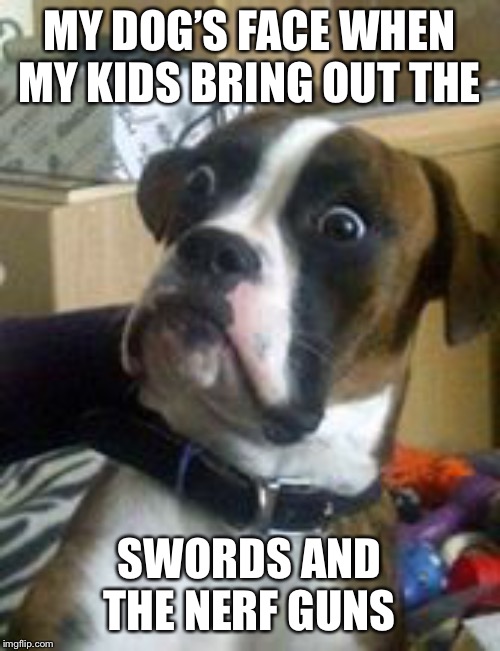 Dogs |  MY DOG’S FACE WHEN MY KIDS BRING OUT THE; SWORDS AND THE NERF GUNS | image tagged in dogs,dank,dank memes,funny,funny memes,memes | made w/ Imgflip meme maker