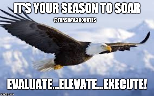 Soaring eagle | IT'S YOUR SEASON TO SOAR; @TARSHAV.36QUOTES; EVALUATE...ELEVATE...EXECUTE! | image tagged in soaring eagle | made w/ Imgflip meme maker