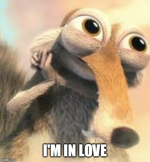 Ice age squirrel in love | I'M IN LOVE | image tagged in ice age squirrel in love | made w/ Imgflip meme maker