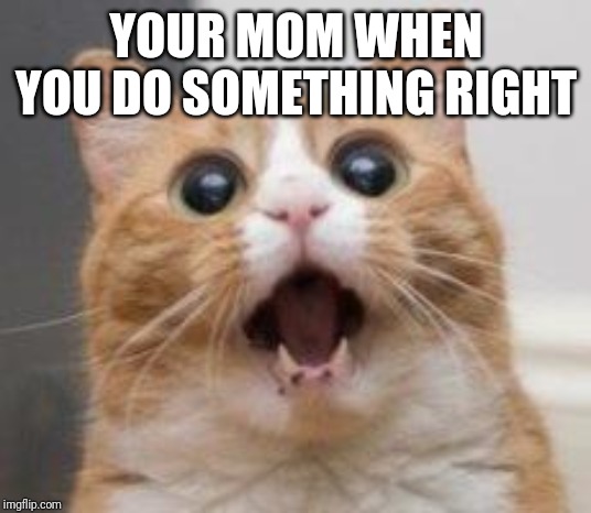 Wow | YOUR MOM WHEN YOU DO SOMETHING RIGHT | image tagged in wow | made w/ Imgflip meme maker