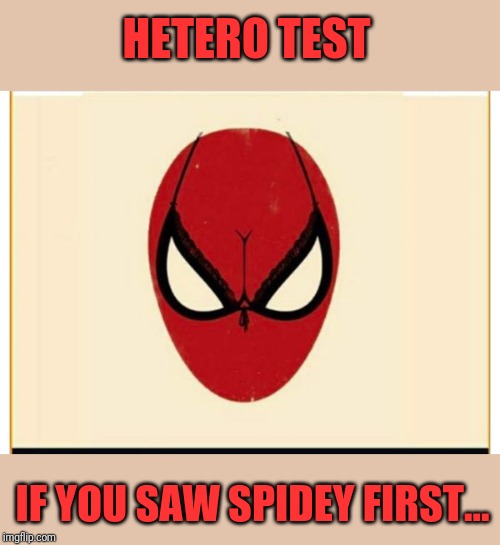 HETERO TEST; IF YOU SAW SPIDEY FIRST... | image tagged in funny memes | made w/ Imgflip meme maker