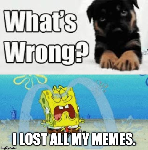  I LOST ALL MY MEMES. | image tagged in cryin | made w/ Imgflip meme maker
