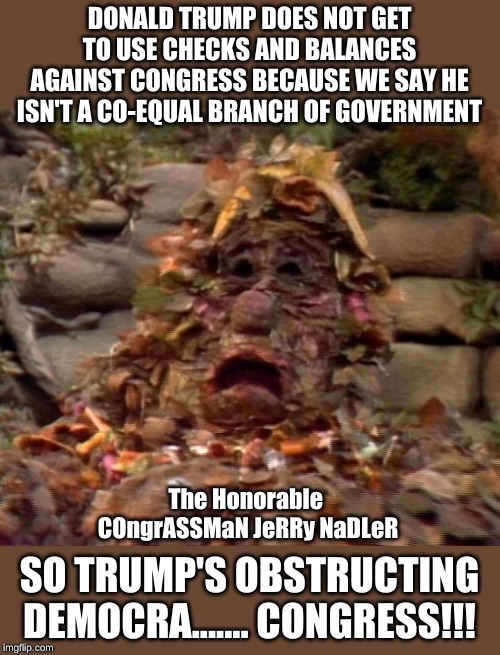 The Trash Heap has spoken! | DONALD TRUMP DOES NOT GET TO USE CHECKS AND BALANCES AGAINST CONGRESS BECAUSE WE SAY HE ISN'T A CO-EQUAL BRANCH OF GOVERNMENT; The Honorable 
COngrASSMaN JeRRy NaDLeR; SO TRUMP'S OBSTRUCTING DEMOCRA....... CONGRESS!!! | image tagged in fraggle rock marjory the trash heap | made w/ Imgflip meme maker