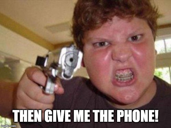 minecrafter | THEN GIVE ME THE PHONE! | image tagged in minecrafter | made w/ Imgflip meme maker