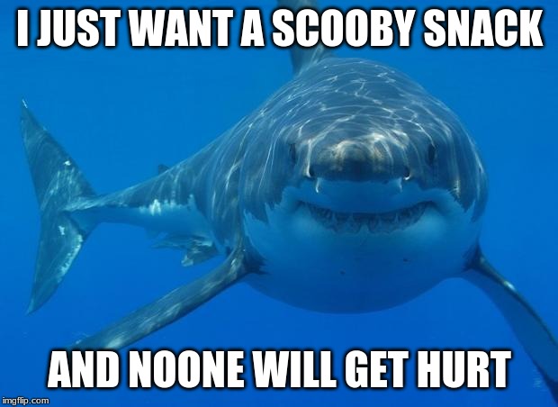 Straight White Shark | I JUST WANT A SCOOBY SNACK AND NOONE WILL GET HURT | image tagged in straight white shark | made w/ Imgflip meme maker