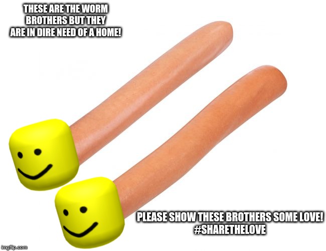 #Sharethelove | THESE ARE THE WORM BROTHERS BUT THEY ARE IN DIRE NEED OF A HOME! PLEASE SHOW THESE BROTHERS SOME LOVE!
#SHARETHELOVE | image tagged in oof | made w/ Imgflip meme maker