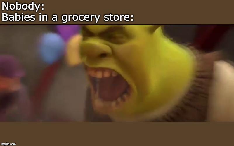 Shrek Screaming | Nobody:

Babies in a grocery store: | image tagged in shrek screaming | made w/ Imgflip meme maker