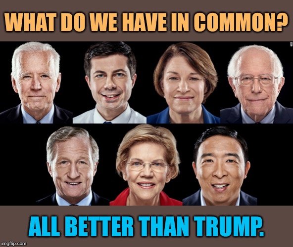#VoteBlueNoMatterWho. | WHAT DO WE HAVE IN COMMON? ALL BETTER THAN TRUMP. | image tagged in democratic candidates  jan 2020,democrats,democrat,democratic party,election 2020,election | made w/ Imgflip meme maker