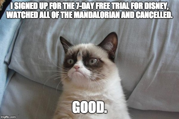 Grumpy Cat Bed Meme | I SIGNED UP FOR THE 7-DAY FREE TRIAL FOR DISNEY,
WATCHED ALL OF THE MANDALORIAN AND CANCELLED. GOOD. | image tagged in memes,grumpy cat bed,grumpy cat | made w/ Imgflip meme maker
