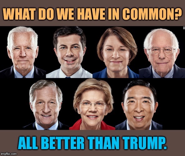 We all have our favorites. Whatever happens in the primaries, let’s not lose sight of the prize. | image tagged in democrat,democrats,election 2020,election,democratic party,primary | made w/ Imgflip meme maker