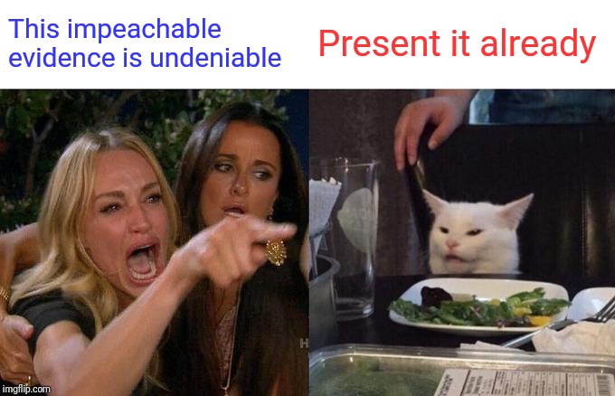 Woman Yelling At Cat | This impeachable evidence is undeniable; Present it already | image tagged in memes,woman yelling at cat | made w/ Imgflip meme maker