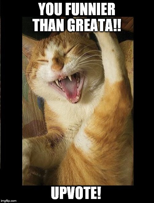 Laughing Cat | YOU FUNNIER THAN GREATA!! UPVOTE! | image tagged in laughing cat | made w/ Imgflip meme maker