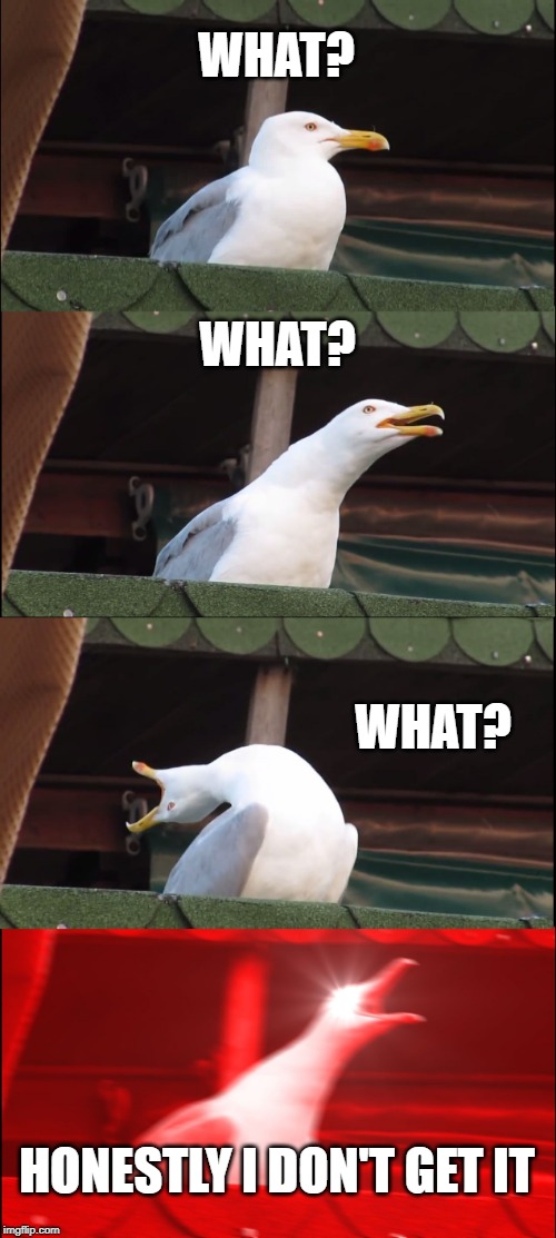 Inhaling Seagull | WHAT? WHAT? WHAT? HONESTLY I DON'T GET IT | image tagged in memes,inhaling seagull | made w/ Imgflip meme maker