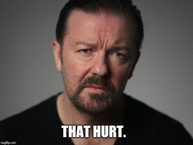 Ricky Gervais | THAT HURT. | image tagged in ricky gervais | made w/ Imgflip meme maker