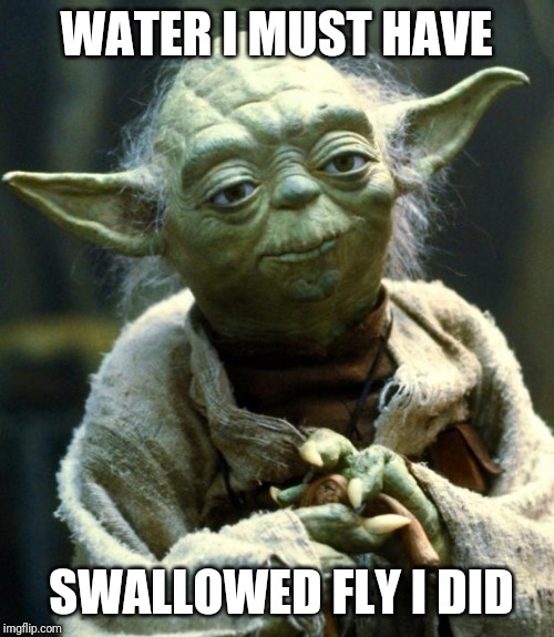 Yoda | WATER I MUST HAVE; SWALLOWED FLY I DID | image tagged in memes,star wars yoda | made w/ Imgflip meme maker