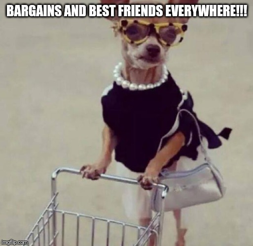 shopping | BARGAINS AND BEST FRIENDS EVERYWHERE!!! | image tagged in shopping | made w/ Imgflip meme maker