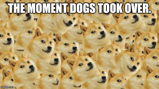 Multi Doge Meme | THE MOMENT DOGS TOOK OVER. | image tagged in memes,multi doge | made w/ Imgflip meme maker