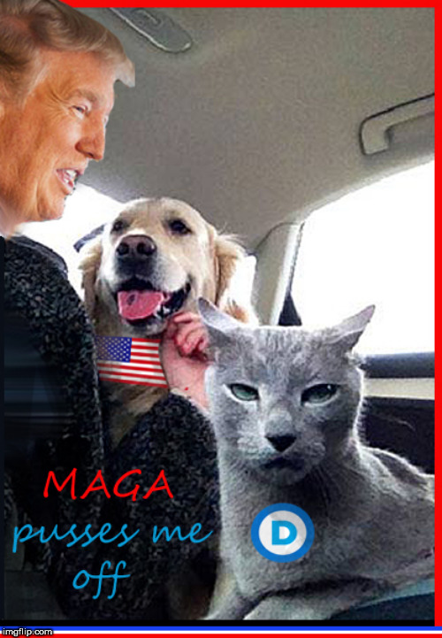 the better WE dothe more they hate US | image tagged in maga,libtards,political meme,donald trump approves,lol so funny,cute cats | made w/ Imgflip meme maker