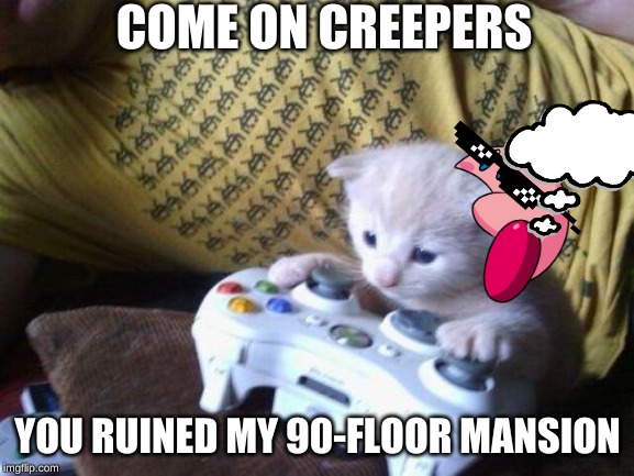 cute kitty on xbox | COME ON CREEPERS; YOU RUINED MY 90-FLOOR MANSION | image tagged in cute kitty on xbox | made w/ Imgflip meme maker