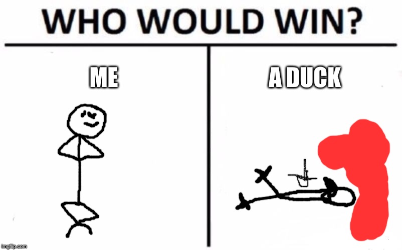 Who Would Win? Meme | ME; A DUCK | image tagged in memes,who would win | made w/ Imgflip meme maker