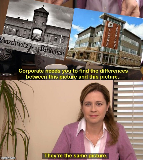 They're The Same Picture Meme | ABORTION IS A MODERN DAY HOLOCAUST | image tagged in spot the difference,auschwitz,planned parenthood,holocaust,abortion is murder,memes | made w/ Imgflip meme maker