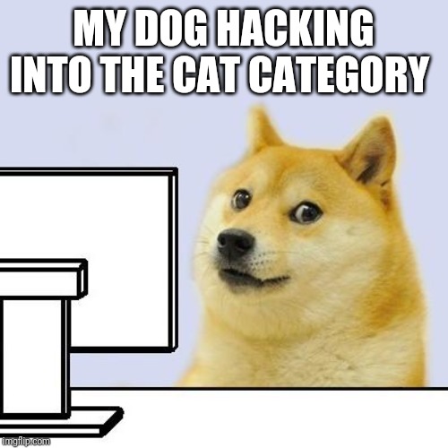 Hacker Doge | MY DOG HACKING INTO THE CAT CATEGORY | image tagged in hacker doge | made w/ Imgflip meme maker