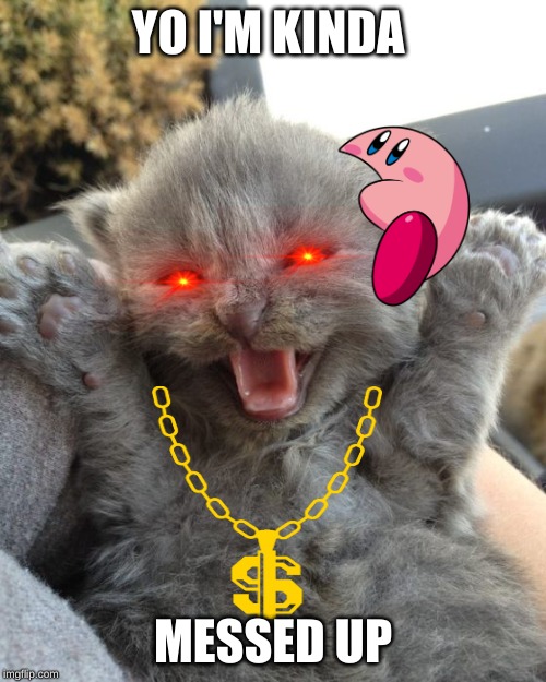Yay Kitty | YO I'M KINDA; MESSED UP | image tagged in yay kitty | made w/ Imgflip meme maker