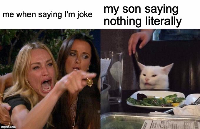 me when saying I'm joke my son saying nothing literally | image tagged in memes,woman yelling at cat | made w/ Imgflip meme maker
