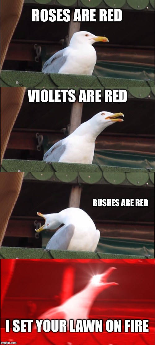 Inhaling Seagull | ROSES ARE RED; VIOLETS ARE RED; BUSHES ARE RED; I SET YOUR LAWN ON FIRE | image tagged in memes,inhaling seagull | made w/ Imgflip meme maker