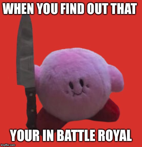 WHEN YOU FIND OUT THAT; YOUR IN BATTLE ROYAL | image tagged in kirby | made w/ Imgflip meme maker