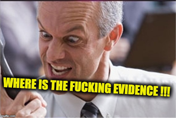 Rining | WHERE IS THE F**KING EVIDENCE !!! | image tagged in rining | made w/ Imgflip meme maker