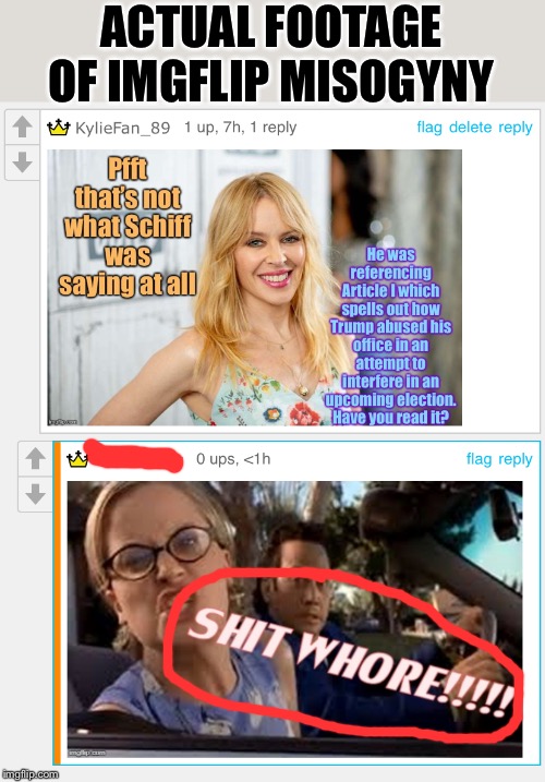 Misogyny is a rarer bird than racism, homophobia, and transphobia on this site, but it definitely still exists. | ACTUAL FOOTAGE OF IMGFLIP MISOGYNY | image tagged in misogyny,we dont do that here,cringe,imgflip trolls,women,right wing | made w/ Imgflip meme maker