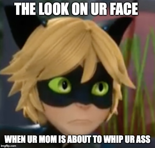 THE LOOK ON UR FACE; WHEN UR MOM IS ABOUT TO WHIP UR ASS | image tagged in lol so funny,so true memes,funny memes | made w/ Imgflip meme maker